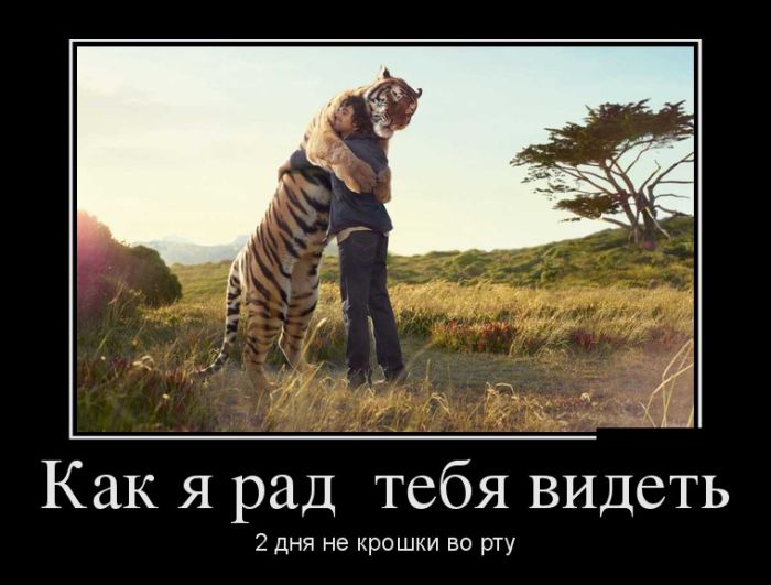 Как я рад тебя видеть