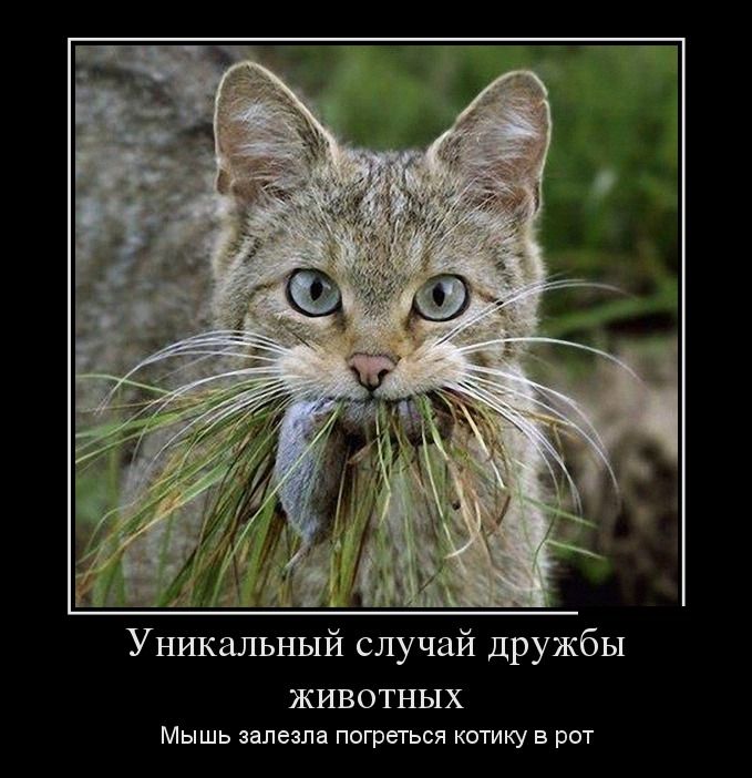 Уникальный случай