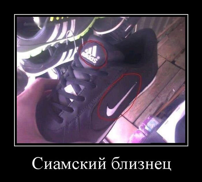 Сиамский близнец