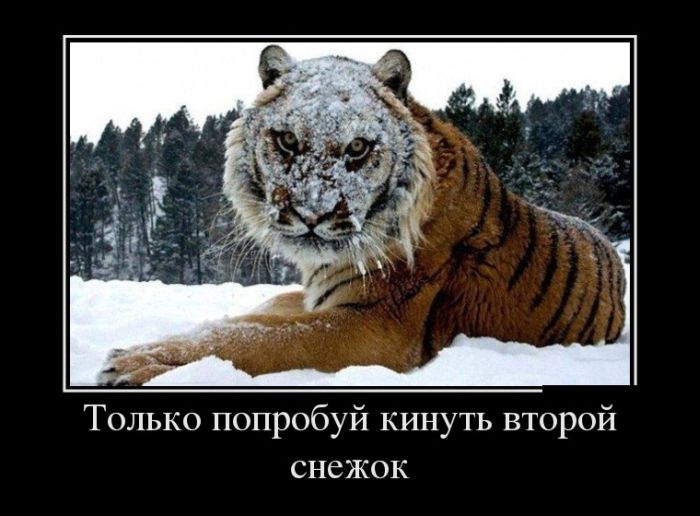 Только попробуй
