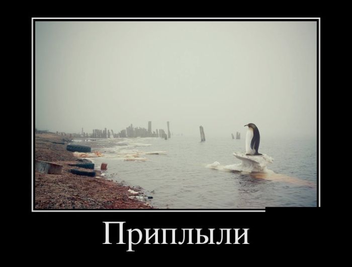 Приплыли