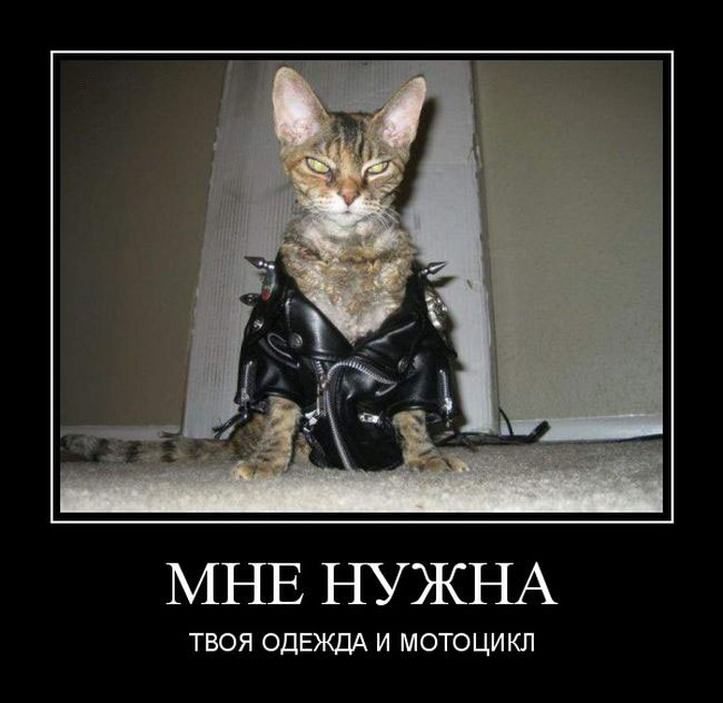 Мне нужна твоя одежда и мотоцикл
