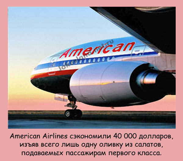 American Airlines сэкономили 40 000 доллаpов