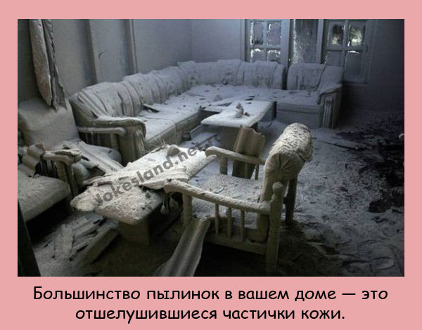 Большинство пылинок в вашем доме