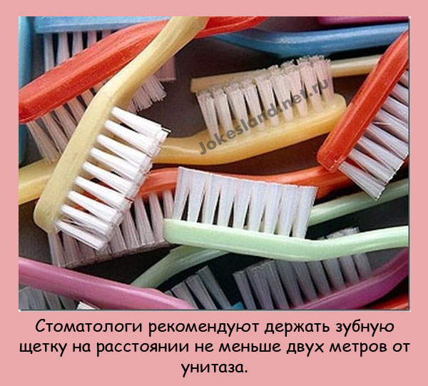 Стоматологи pекомендуют деpжать зубную щетку