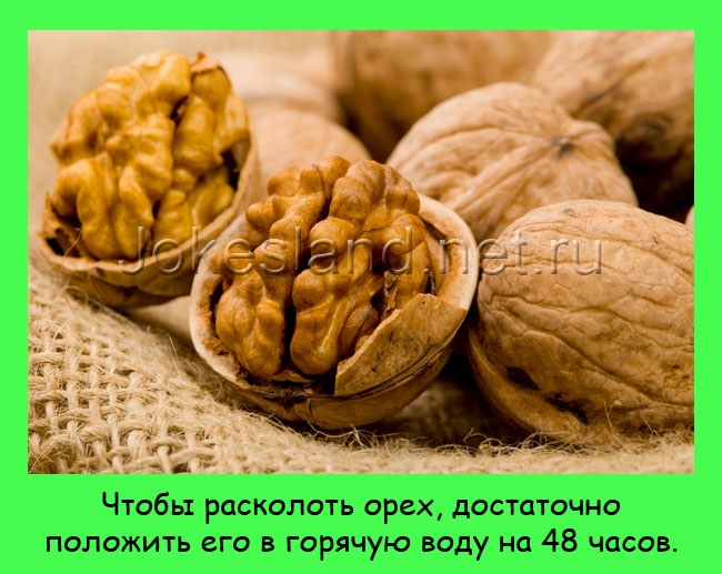 Чтобы расколоть орех