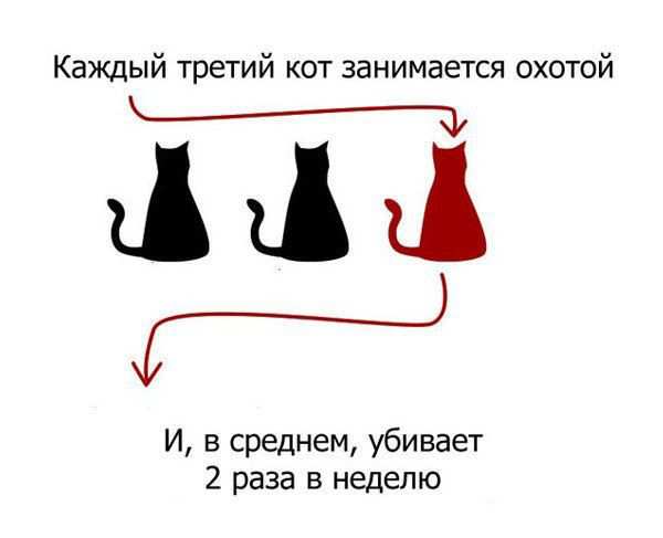      (1 )