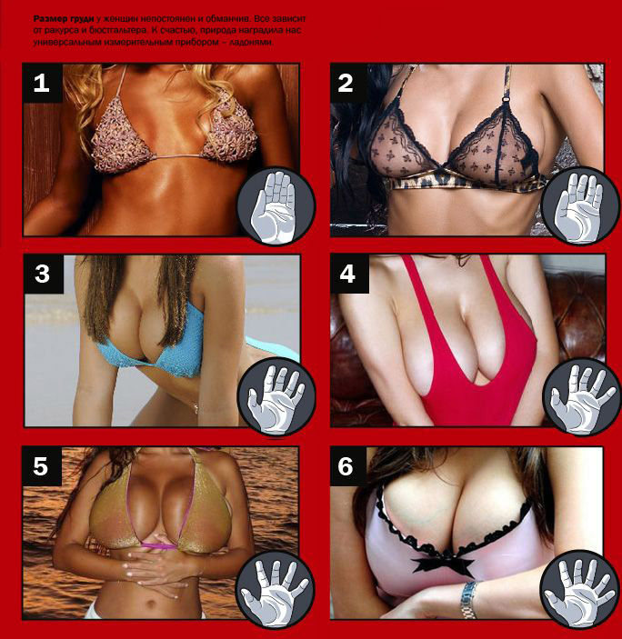     (5 )