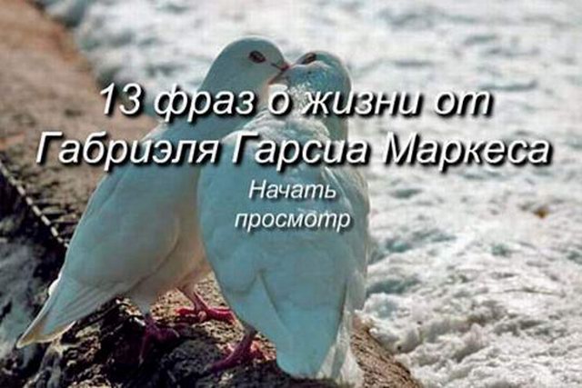 13        ( )