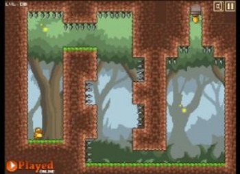 Gravity Duck (flash )