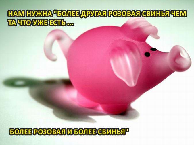 Нам нужна другая свинья