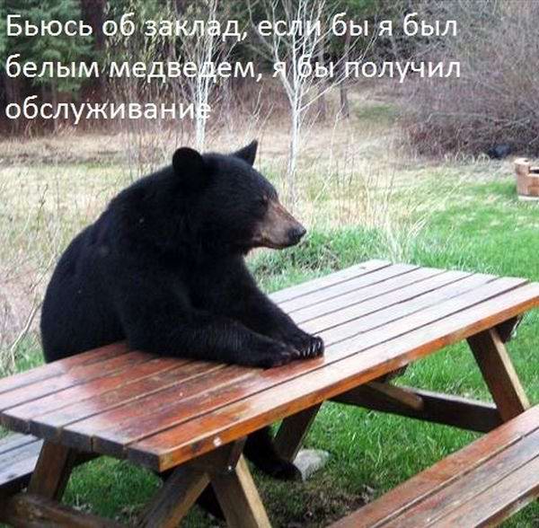 Бьюсь об заклад!