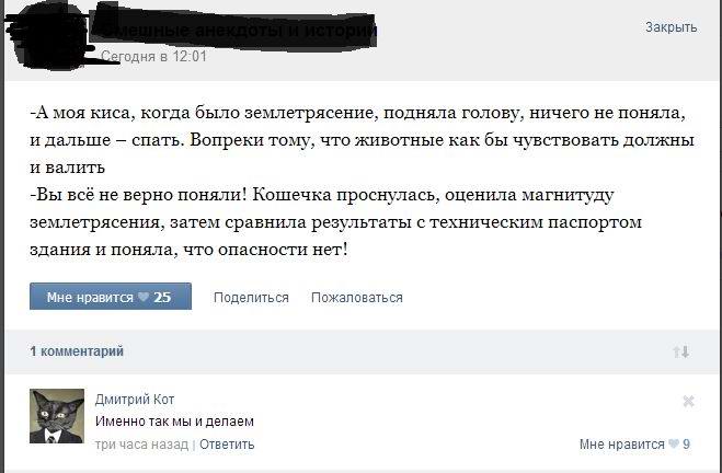 Коты и землетрясение