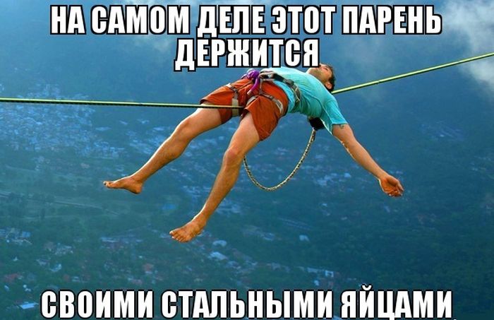      ,       (50 )