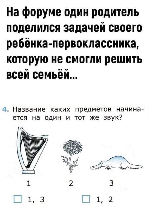 На форуме один родитель поделился задачей своего ребёнка