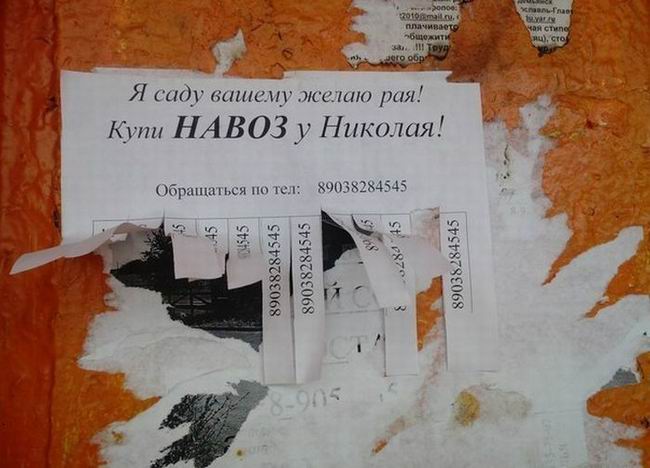 Если вам дорогу перебежала черная кошка