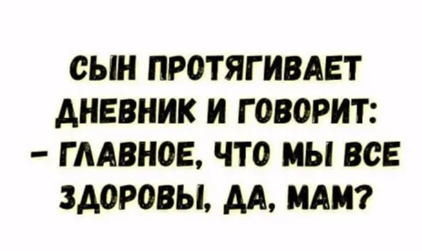 Дневник сына видел?