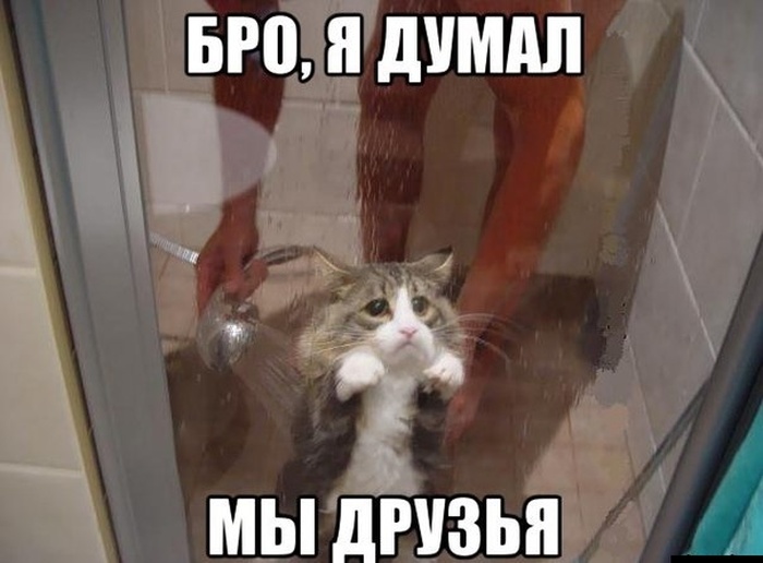 ,    