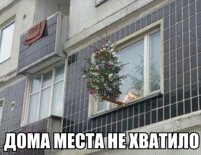 Дома места не хватило
