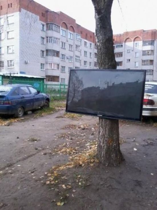 Плазму жалко