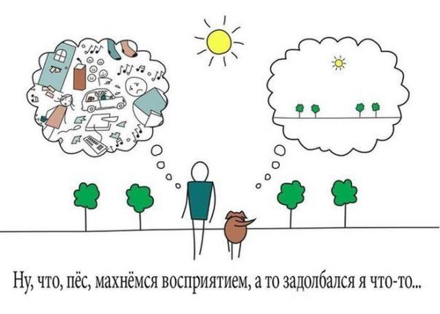 Ну, что, пёс, махнёмся восприятием