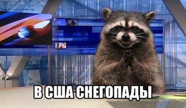 В США снегопады