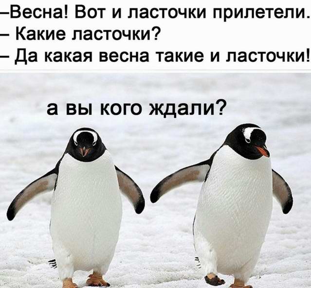 Весна! Вот и ласточки прилетели