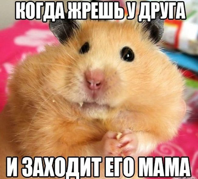 Прибегает к маме дочь в слезах