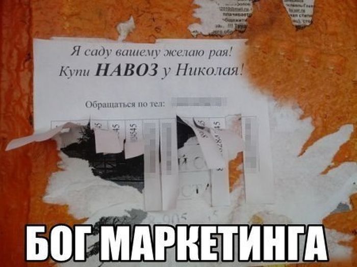 Я саду вашему желаю рая!