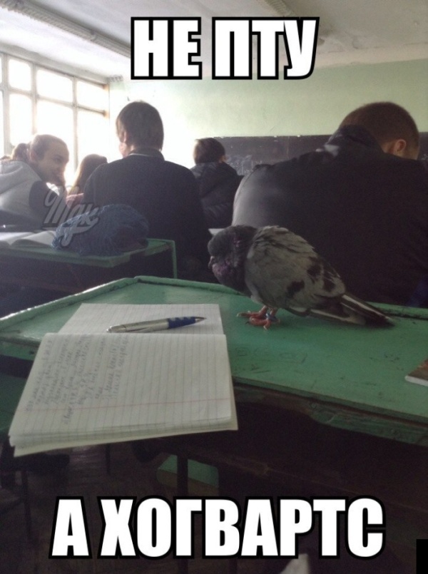 Не ПТУ, а Хогвартс