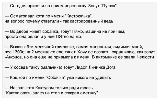 Сегодня привели на прием черепашку
