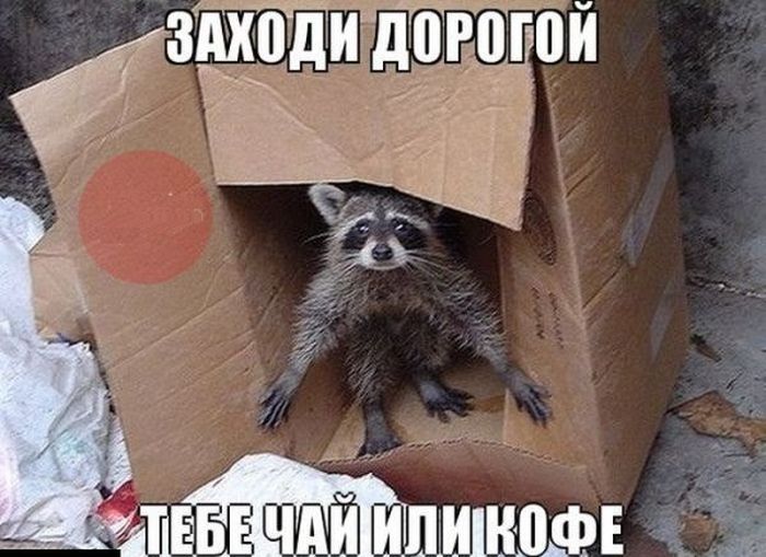      ,         (50 )