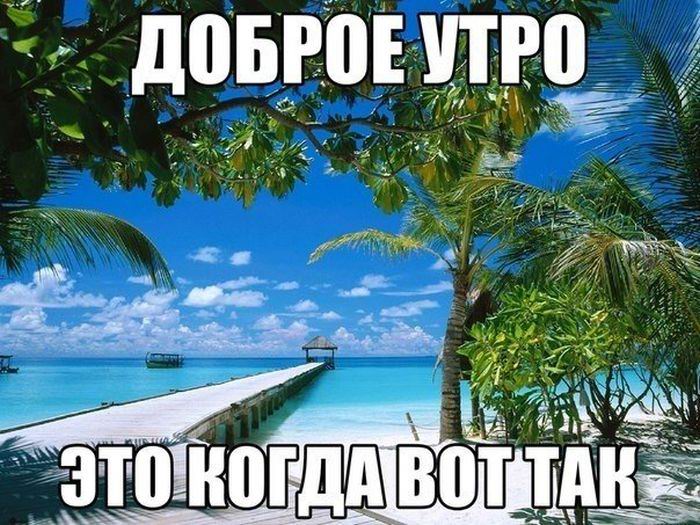      ,        (50 )