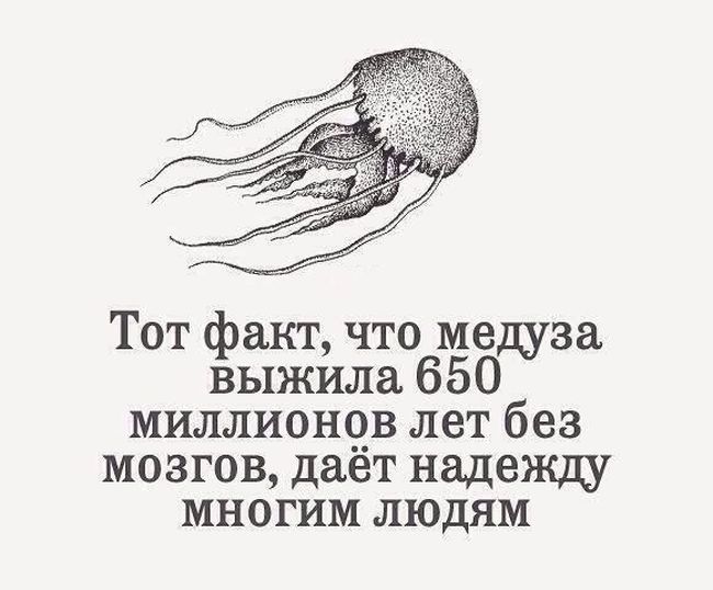   650    