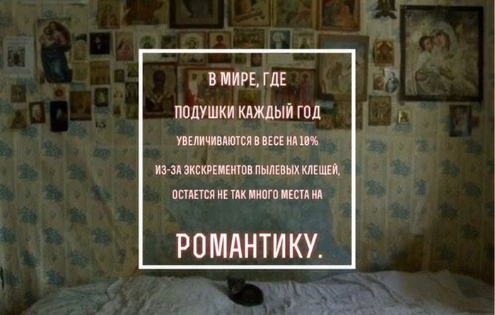        ,         (50 )