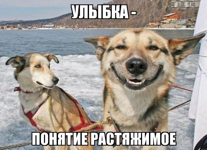       ,        (50 )