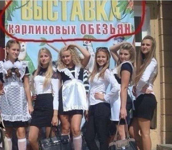Выставка карликовых обезьян