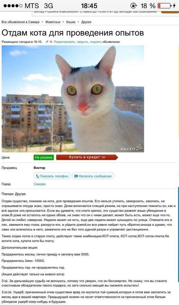 Отдам кота для проведения опытов