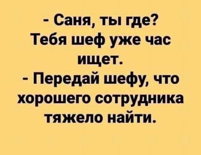 Тебя шеф уже час ищет