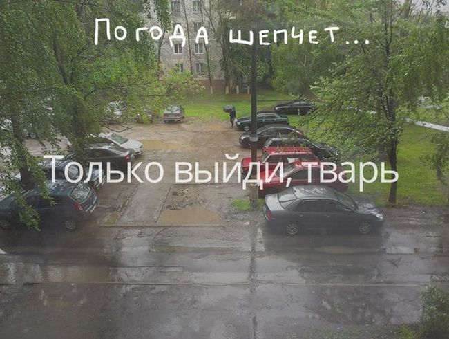 Погода шепчет... Только выйди, тварь!