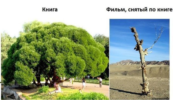 Книга и фильм, снятый по книге