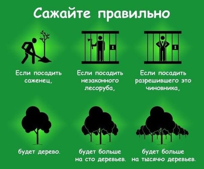 Сажайте правильно