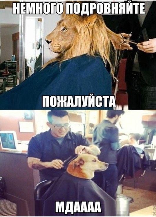 Немного подровняйте, пожалуйста