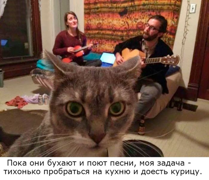 Пока они бухают и поют песни
