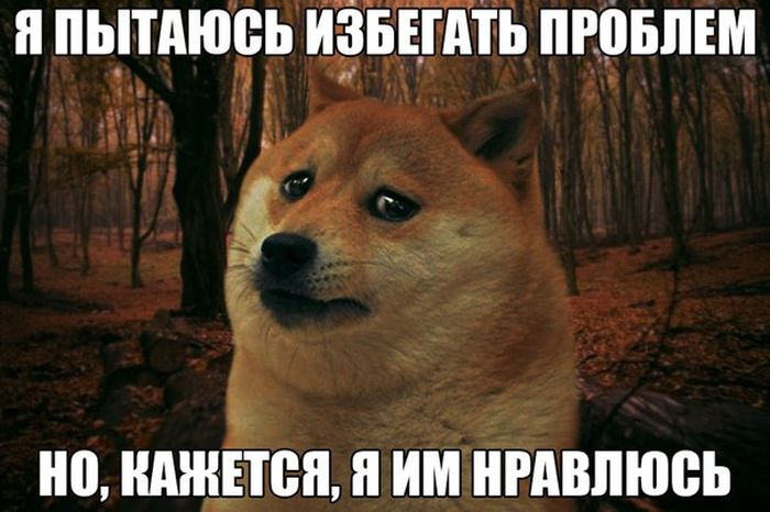       ,     80  (50 )
