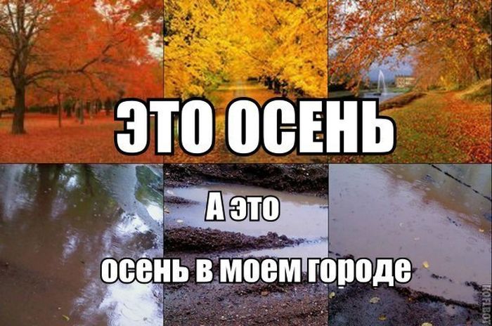       ,        (50 )