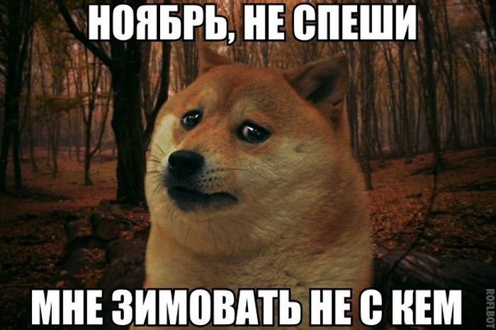     -,        (50 )