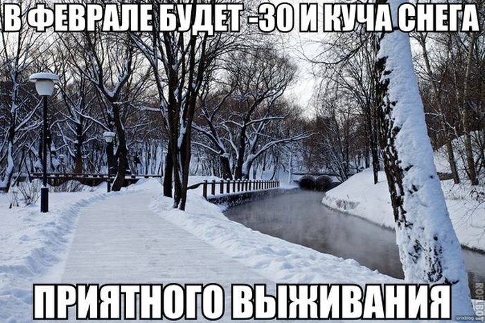     *  ,        (50 )