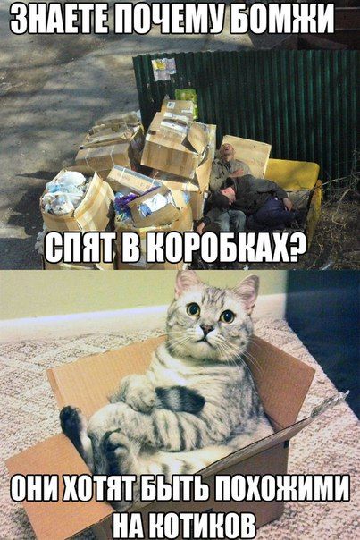 Знаете, почему бомжи спят в коробках?
