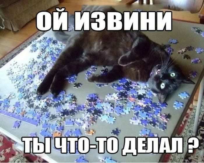     ,     (50 )